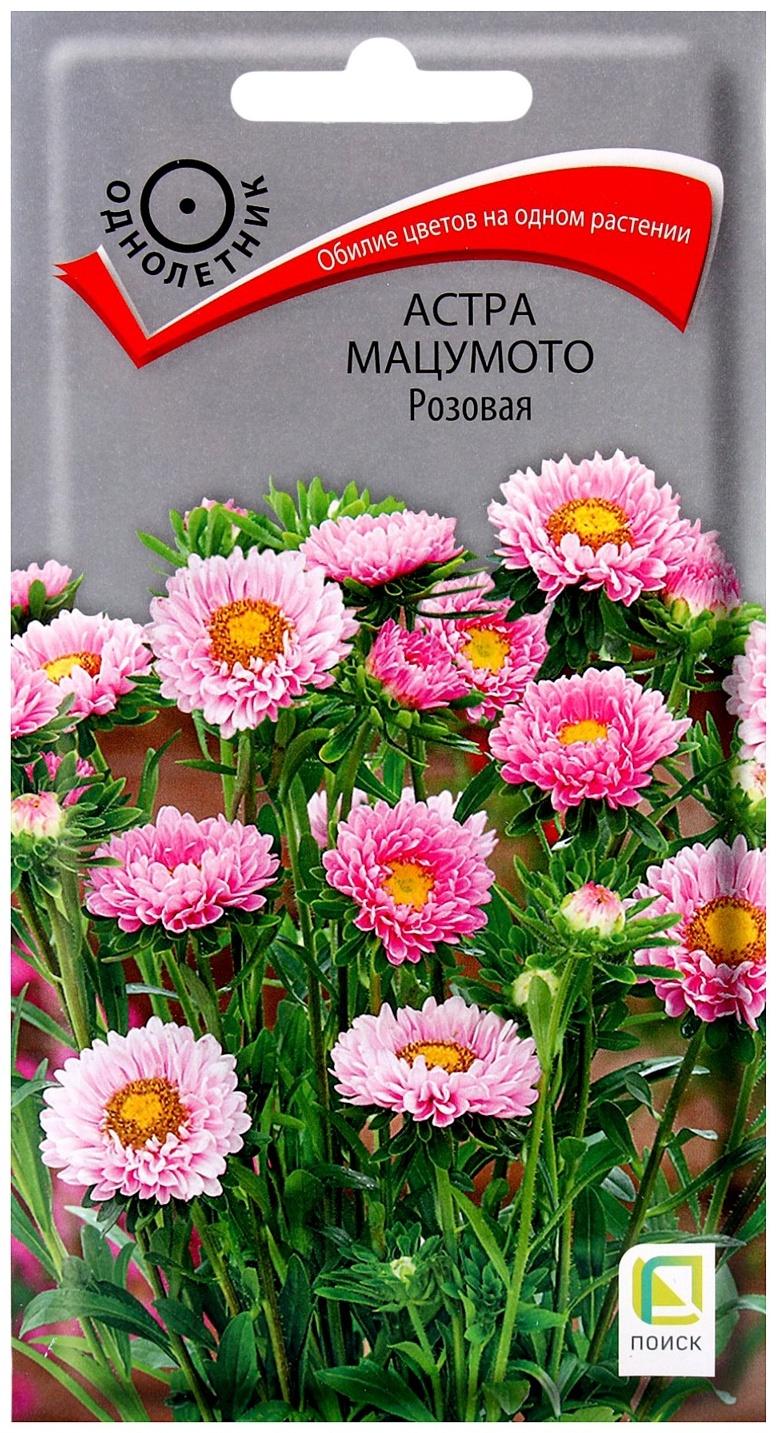 Семена цветов Астра мацумото Розовая, 0,1гр