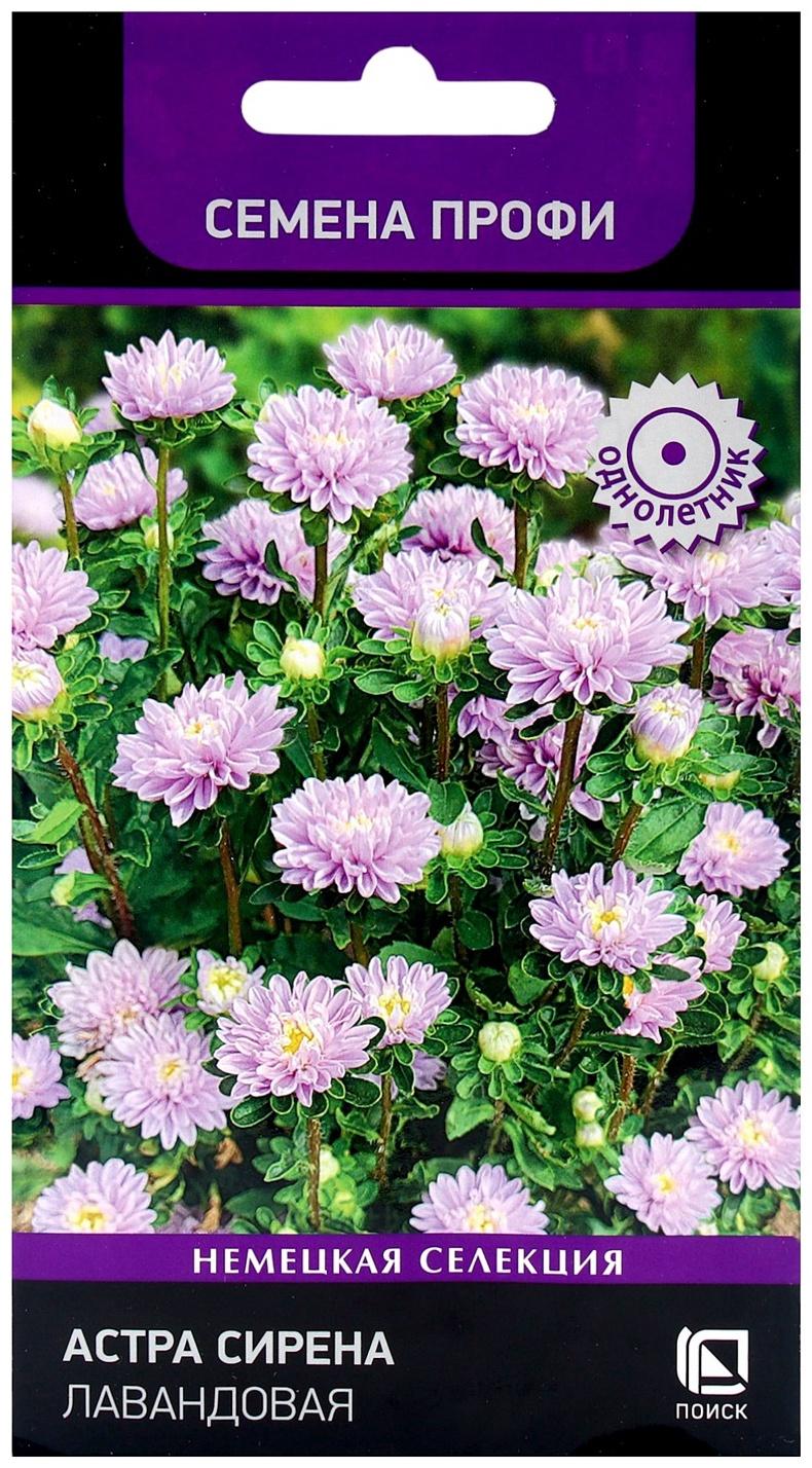 Семена цветов Астра Сирена Лавандовая, 0,05гр