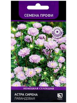Семена цветов Астра Сирена Лавандовая, 0,05гр