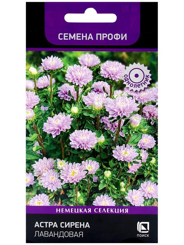 Семена цветов Астра Сирена Лавандовая, 0,05гр