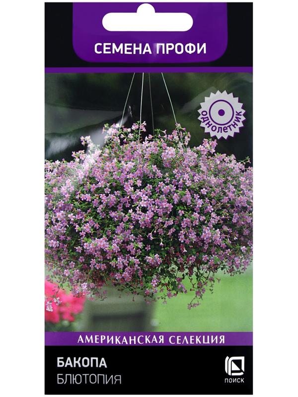 Семена цветов Бакопа Блютопия, 5шт