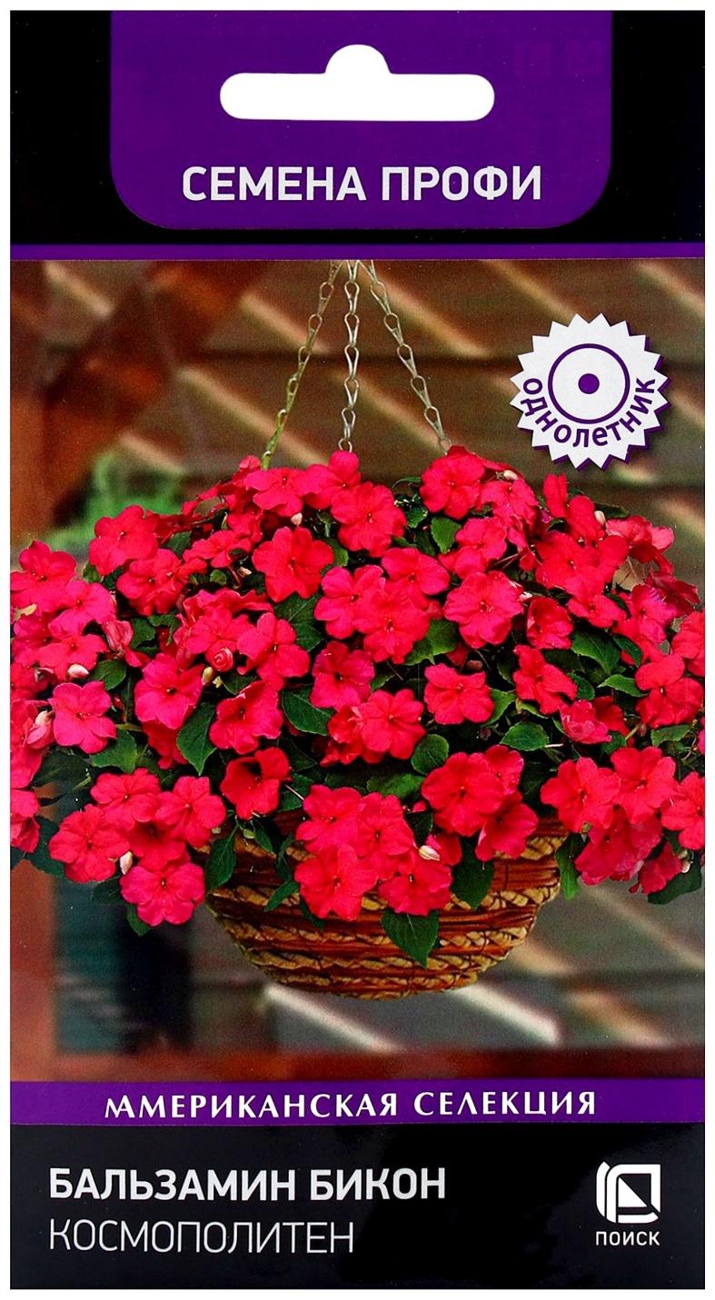 Семена цветов Бальзамин Бикон Космополитен, 7шт