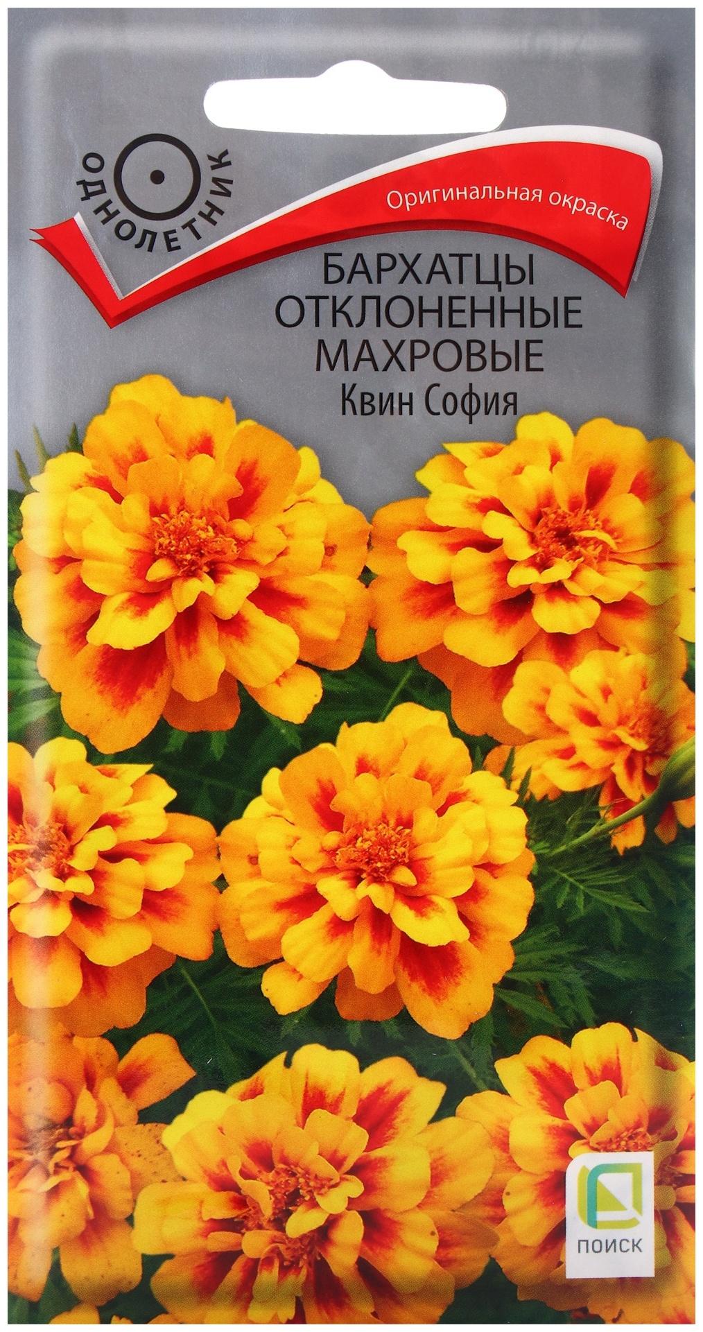 Семена цветов Бархатцы отклоненные махровые Квин София, 0,4гр