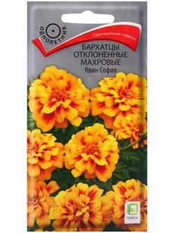 Семена цветов Бархатцы отклоненные махровые Квин София, 0,4гр