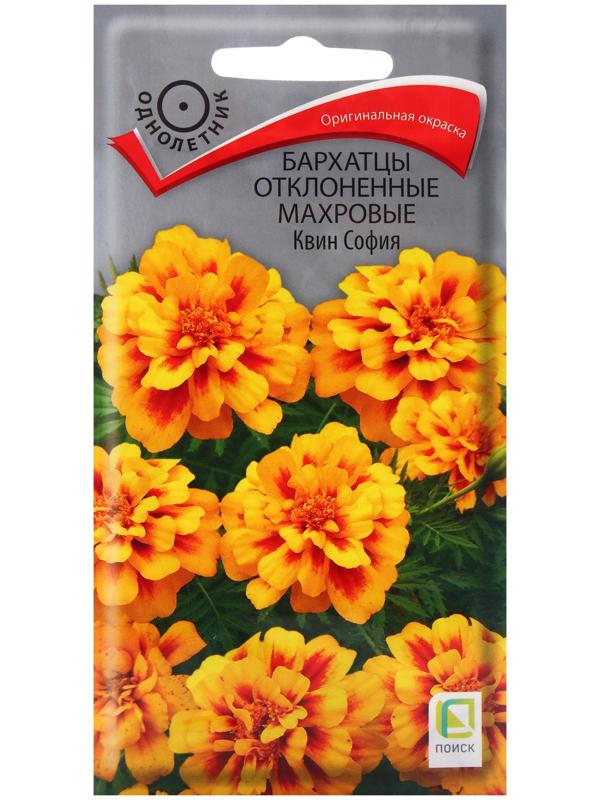 Семена цветов Бархатцы отклоненные махровые Квин София, 0,4гр