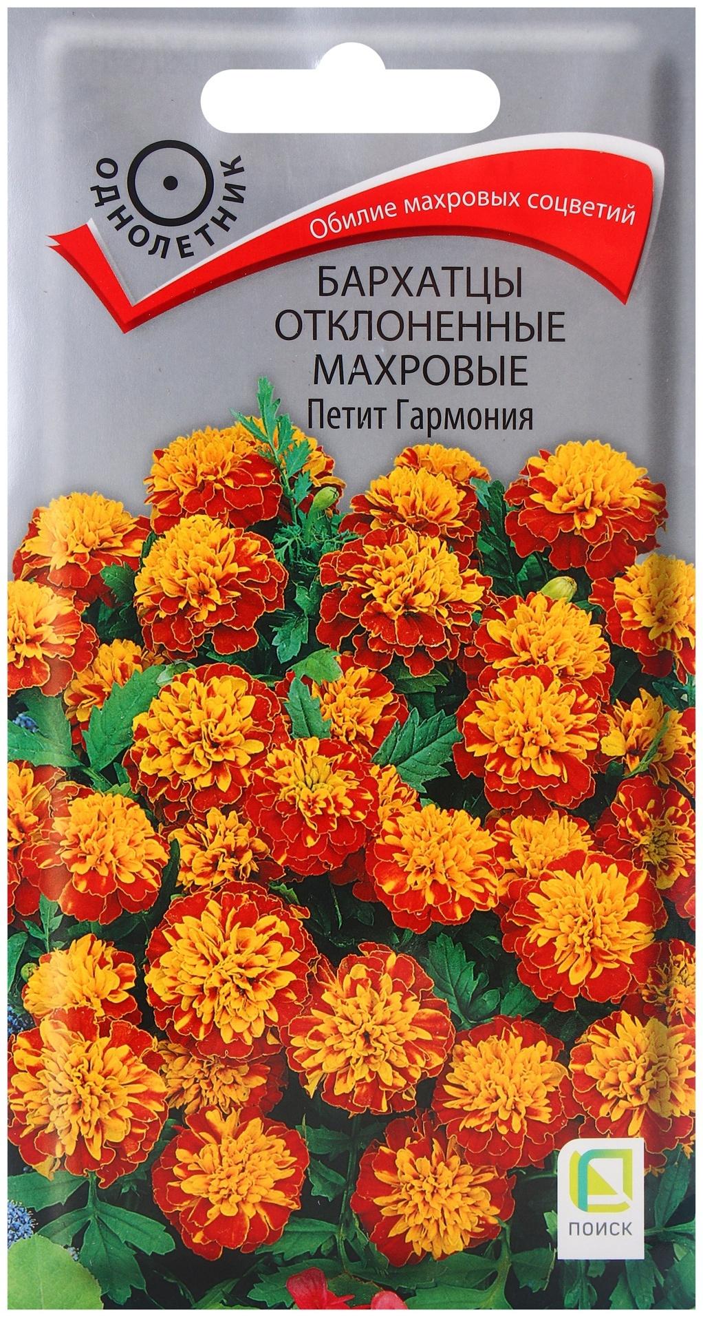 Семена цветов Бархатцы отклоненные махровые Петит гармония, 0,4гр