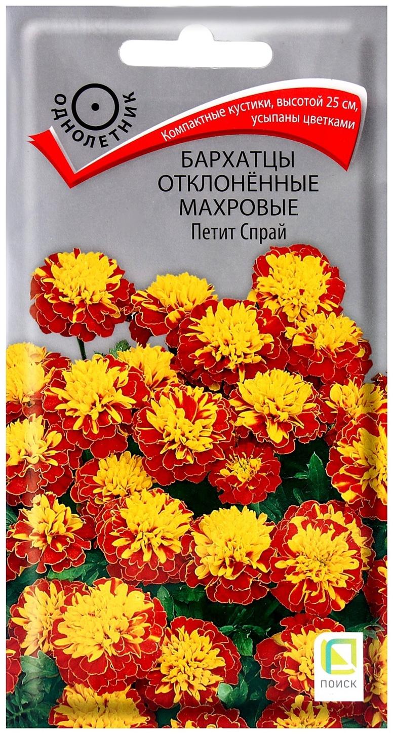 Семена цветов Бархатцы отклоненные махровые Петит Спрай, 0,4гр