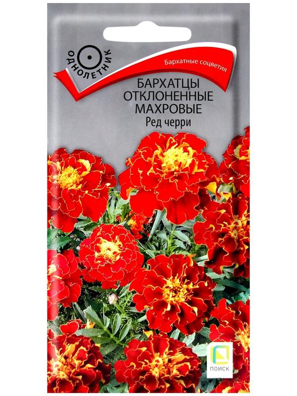 Семена цветов Бархатцы отклоненные махровые Ред черри, 0,3гр