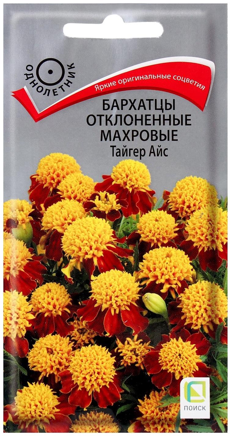 Семена цветов Бархатцы отклоненные махровые Тайгер Айс, 0,4гр