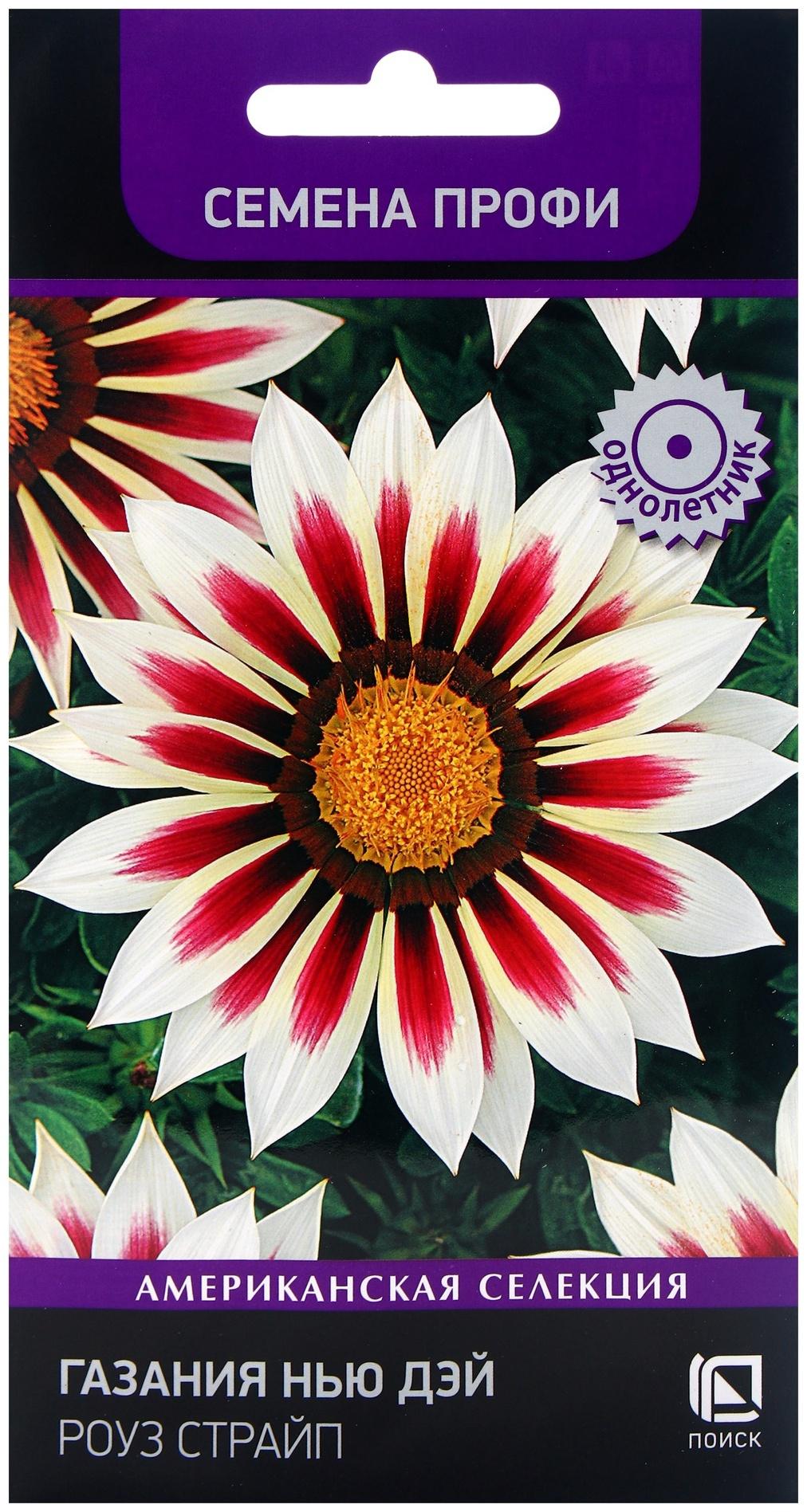 Семена цветов Газания Нью Дэй Роуз Страйп, 10шт