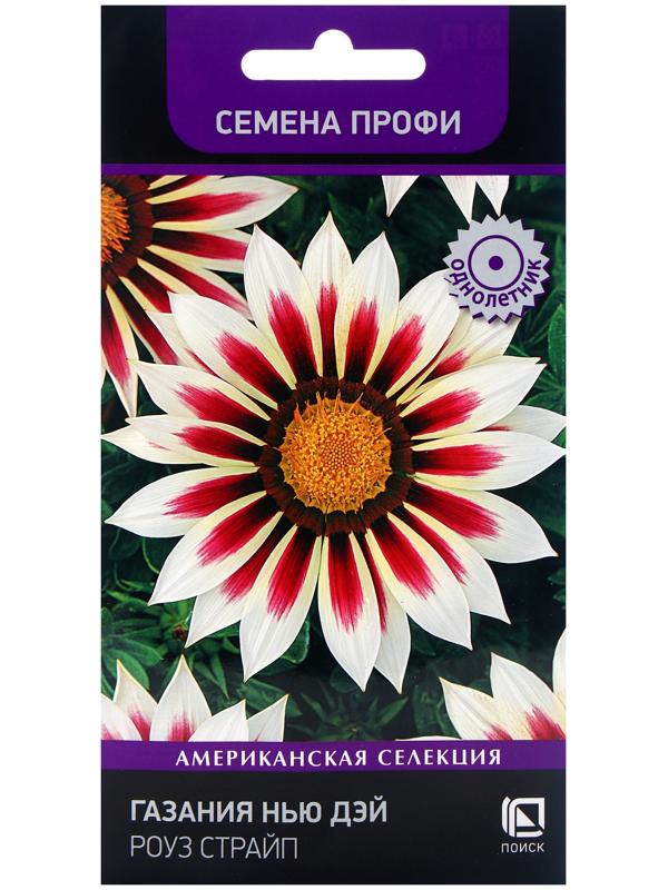 Семена цветов Газания Нью Дэй Роуз Страйп, 10шт