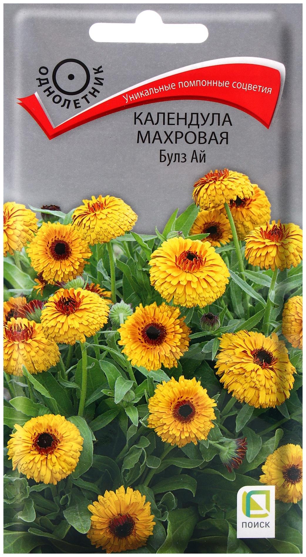 Семена цветов Календула махровая Булз Ай, 0,1гр