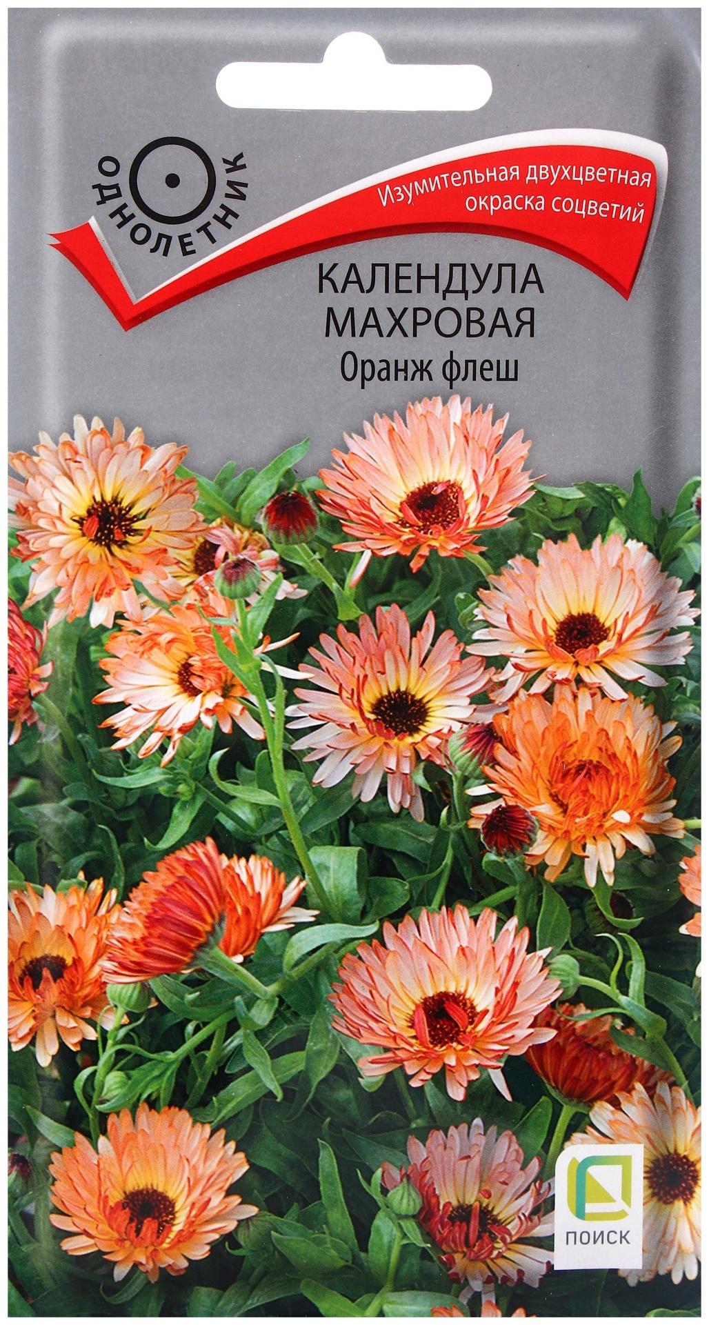 Семена цветов Календула махровая Оранж флеш, 0,1гр