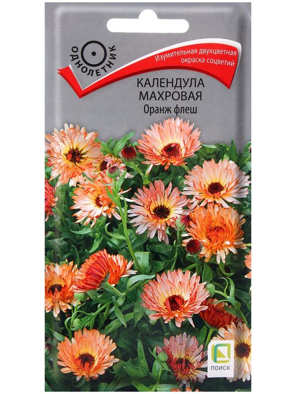 Семена цветов Календула махровая Оранж флеш, 0,1гр