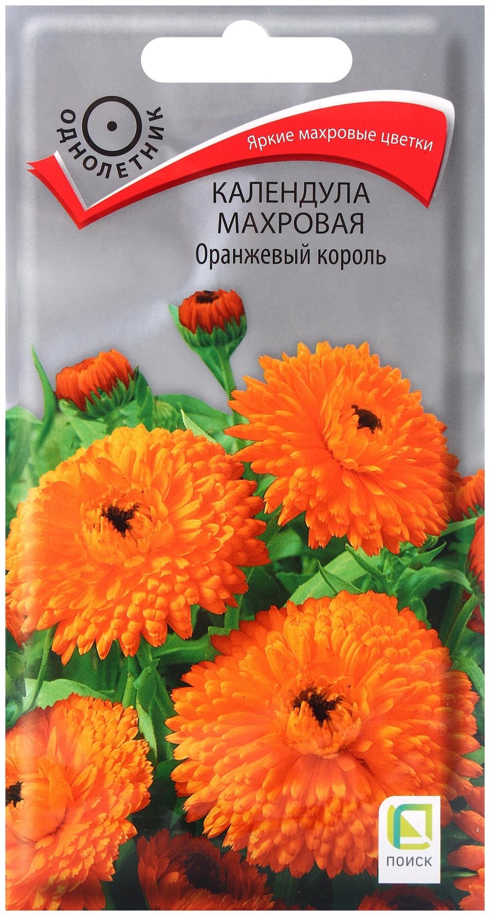 Семена цветов Календула махровая Оранжевый король, 1гр