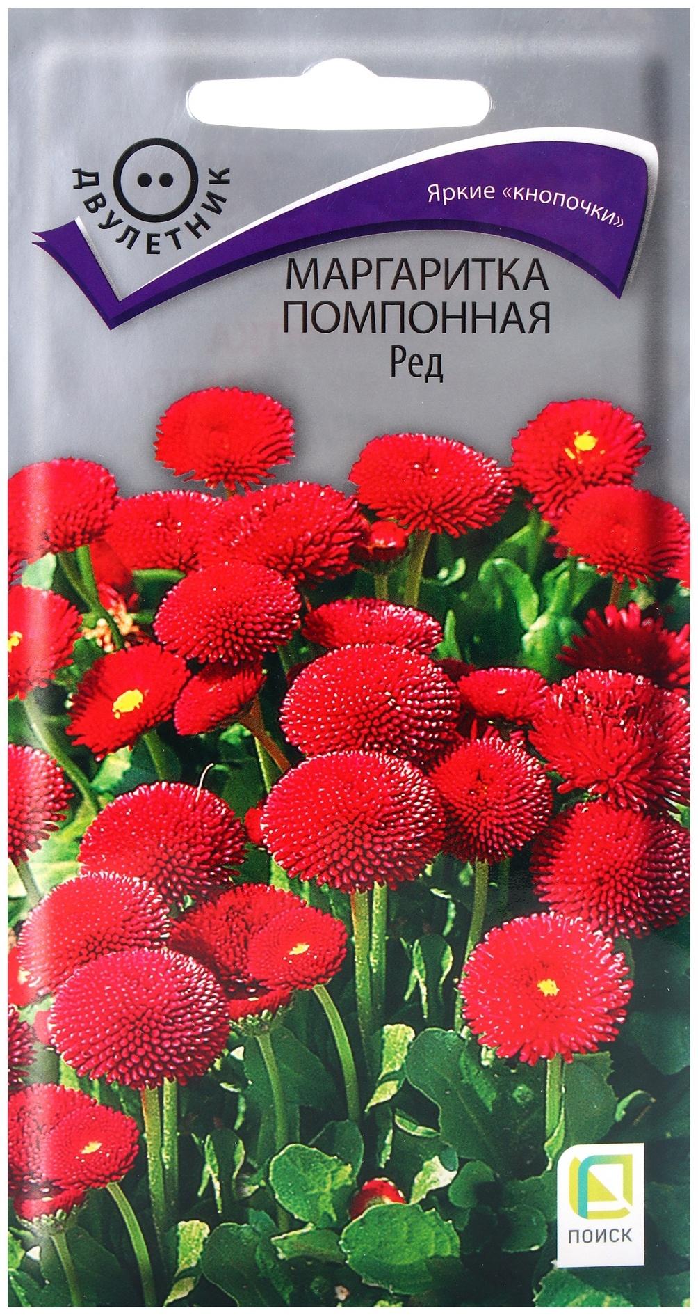 Семена цветов Маргаритка помпонная Ред, 0,05гр