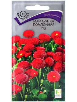 Семена цветов Маргаритка помпонная Ред, 0,05гр