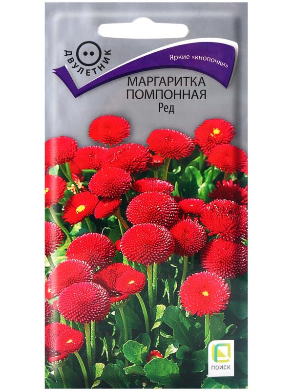 Семена цветов Маргаритка помпонная Ред, 0,05гр