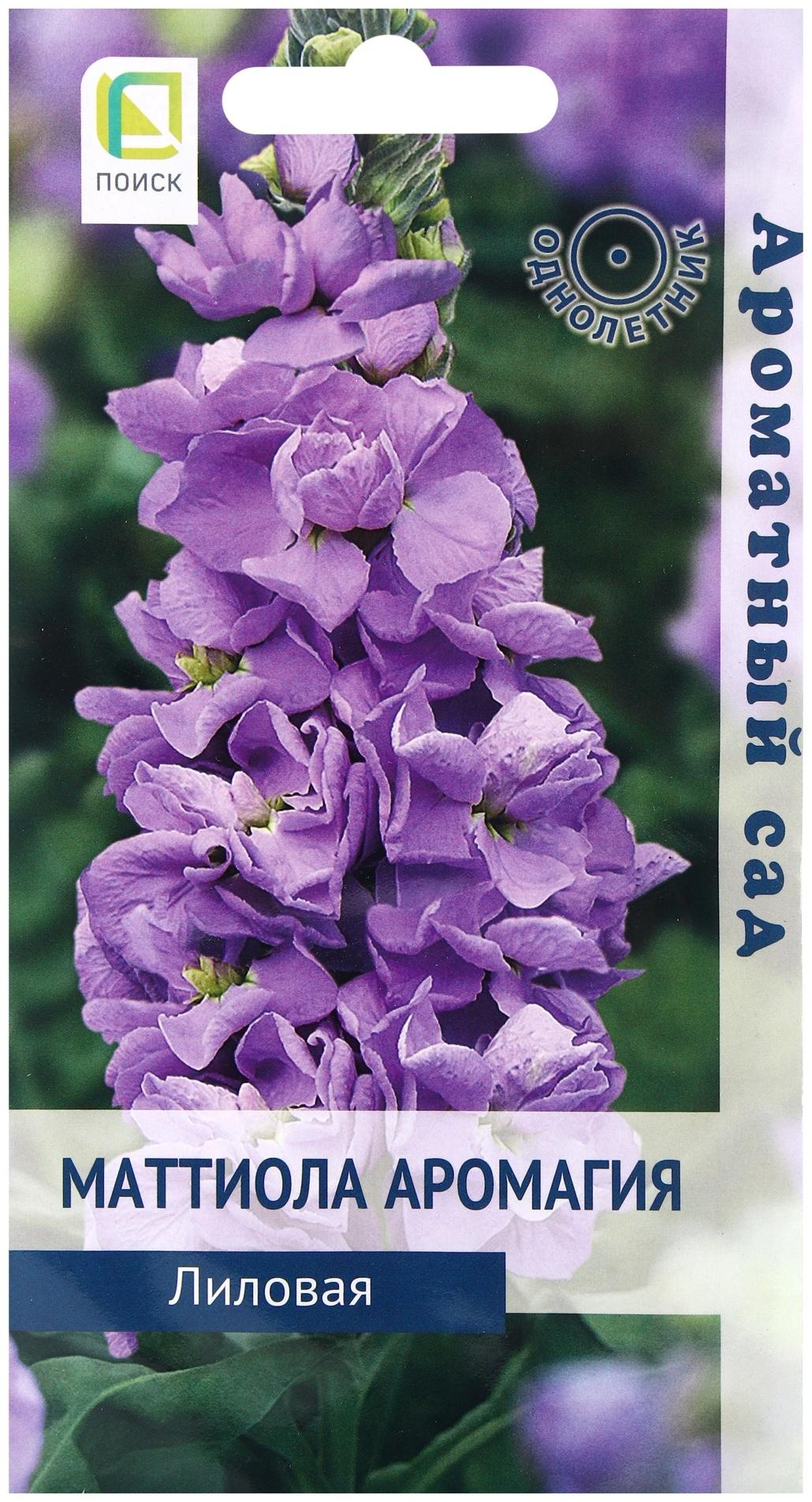 Семена цветов Маттиола Аромагия Лиловая, 0,05гр