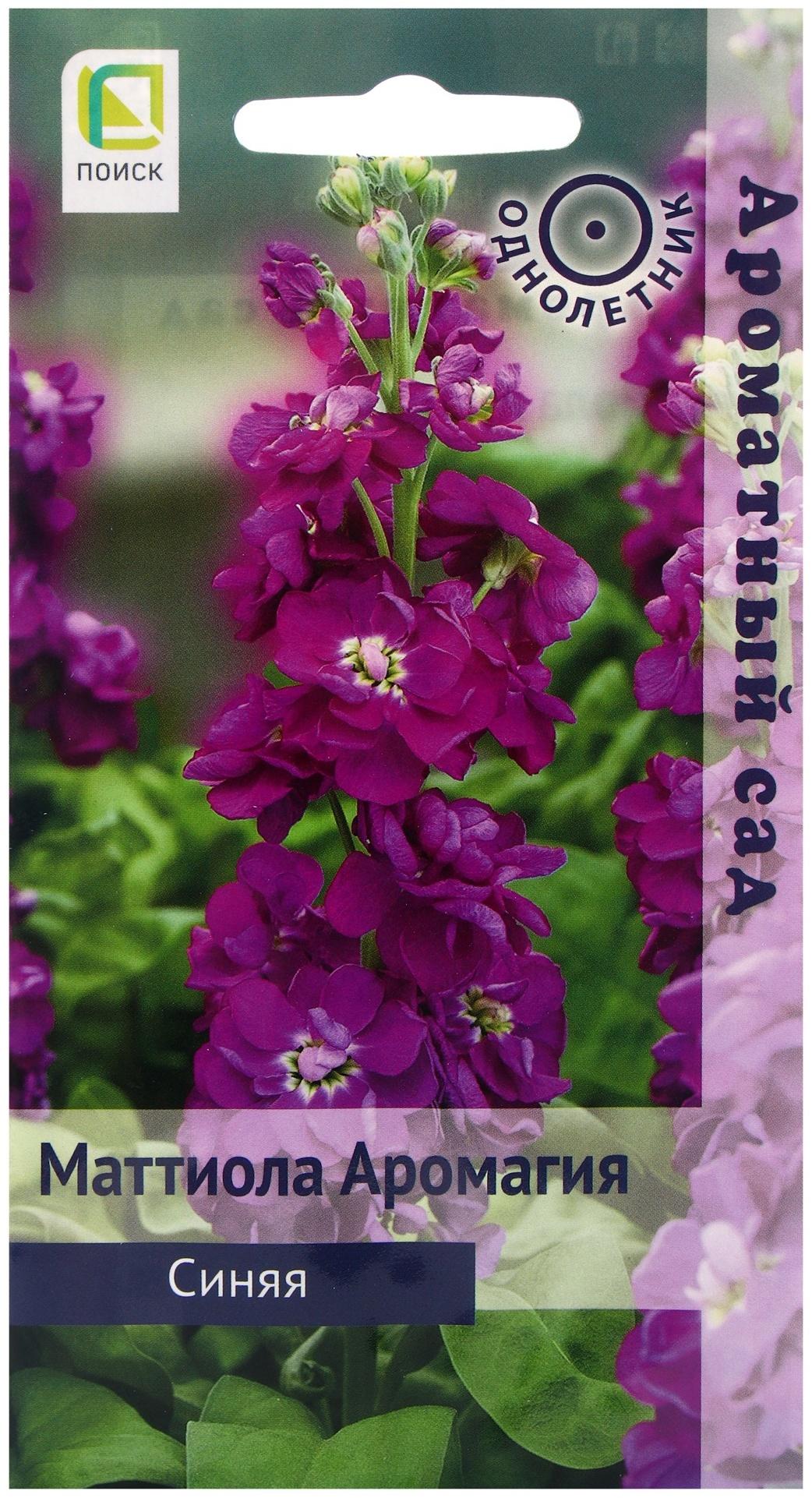 Семена цветов Маттиола Аромагия Синяя, 0,05гр