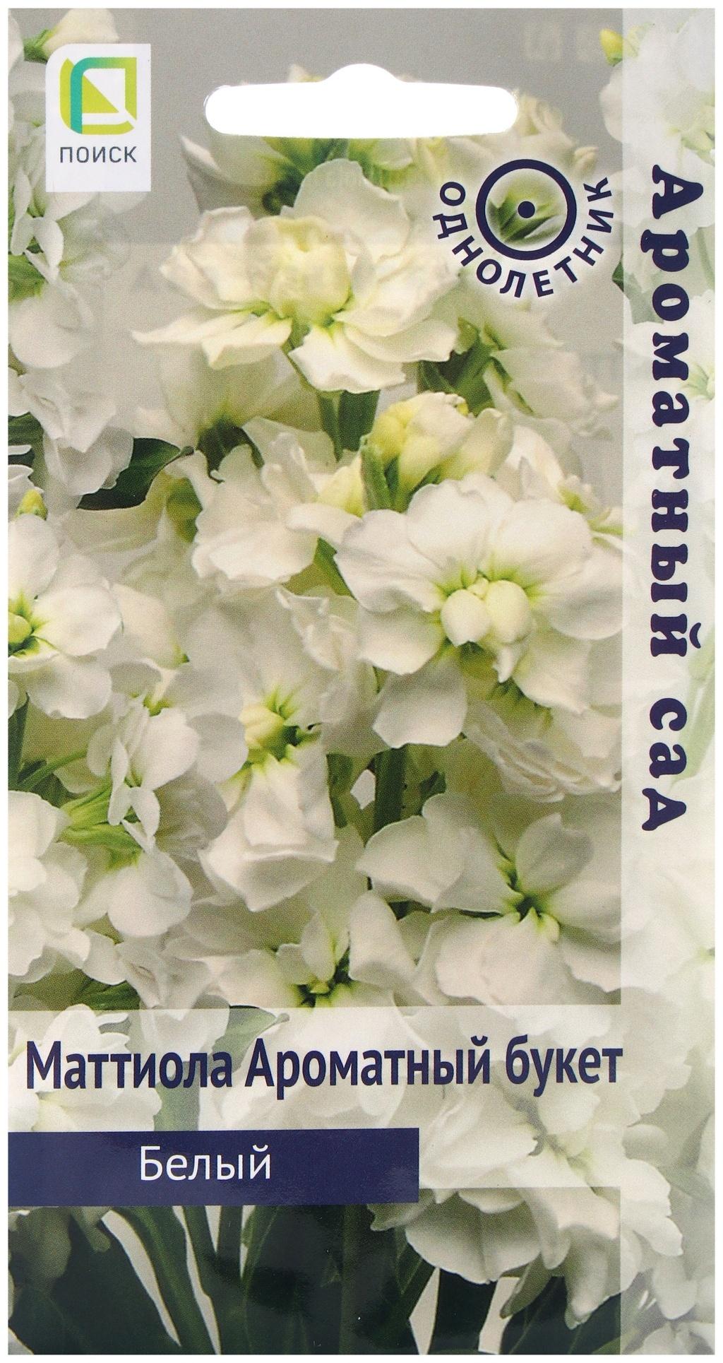 Семена цветов Маттиола Ароматный Букет Белый, 0,05гр