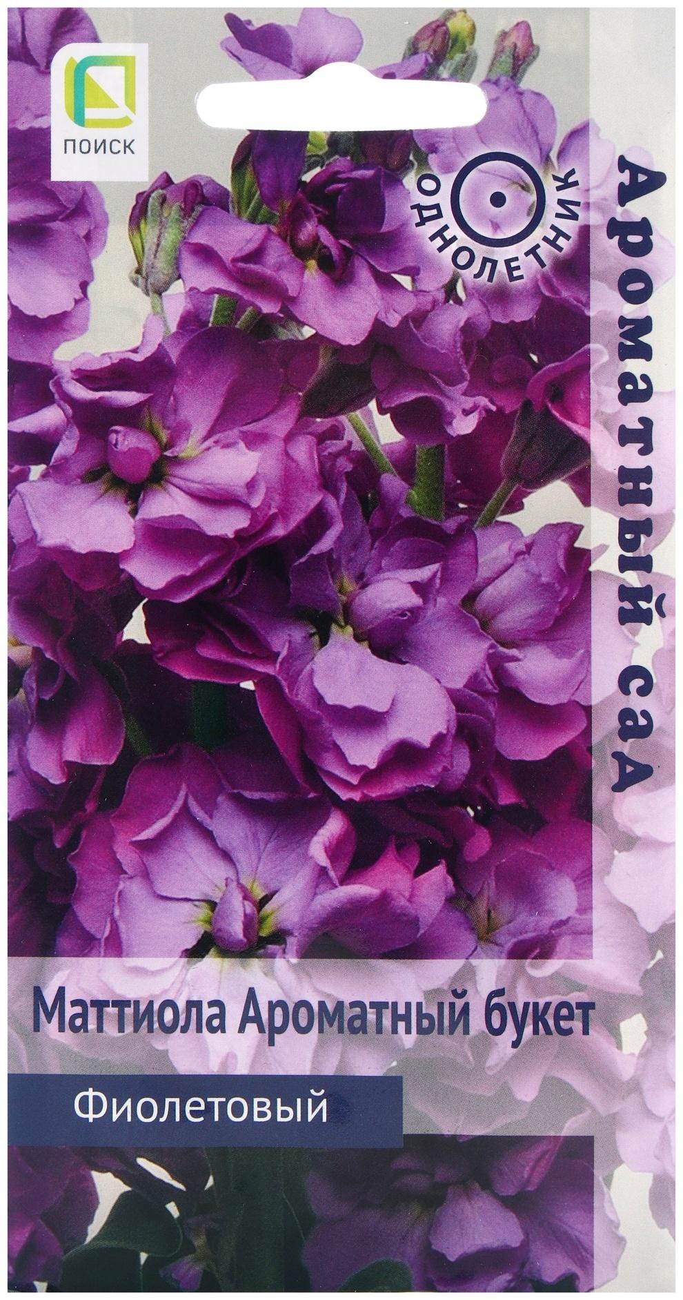 Семена цветов Маттиола Ароматный Букет Фиолетовый, 0,05р