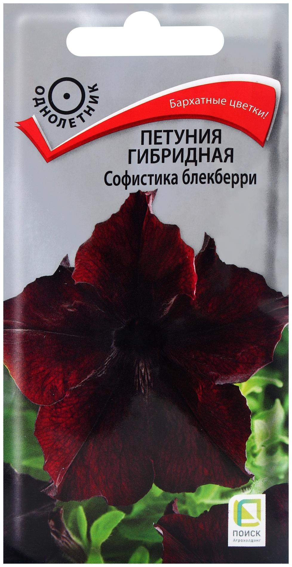 Семена цветов Петуния гибридная Софистика Блекберри, 5шт