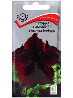Семена цветов Петуния гибридная Софистика Блекберри, 5шт