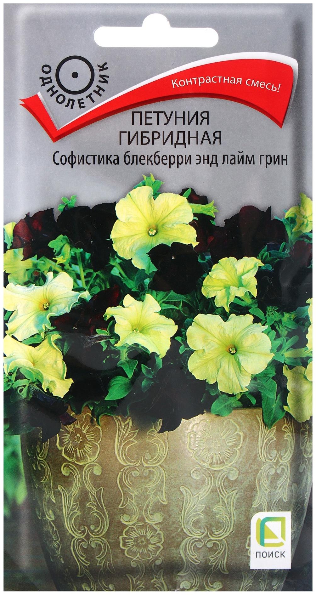 Семена цветов Петуния гибридная Софистика Блекберри энд лайм грин, 5шт