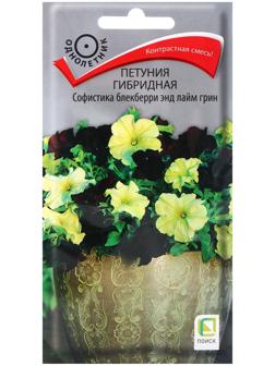 Семена цветов Петуния гибридная Софистика Блекберри энд лайм грин, 5шт