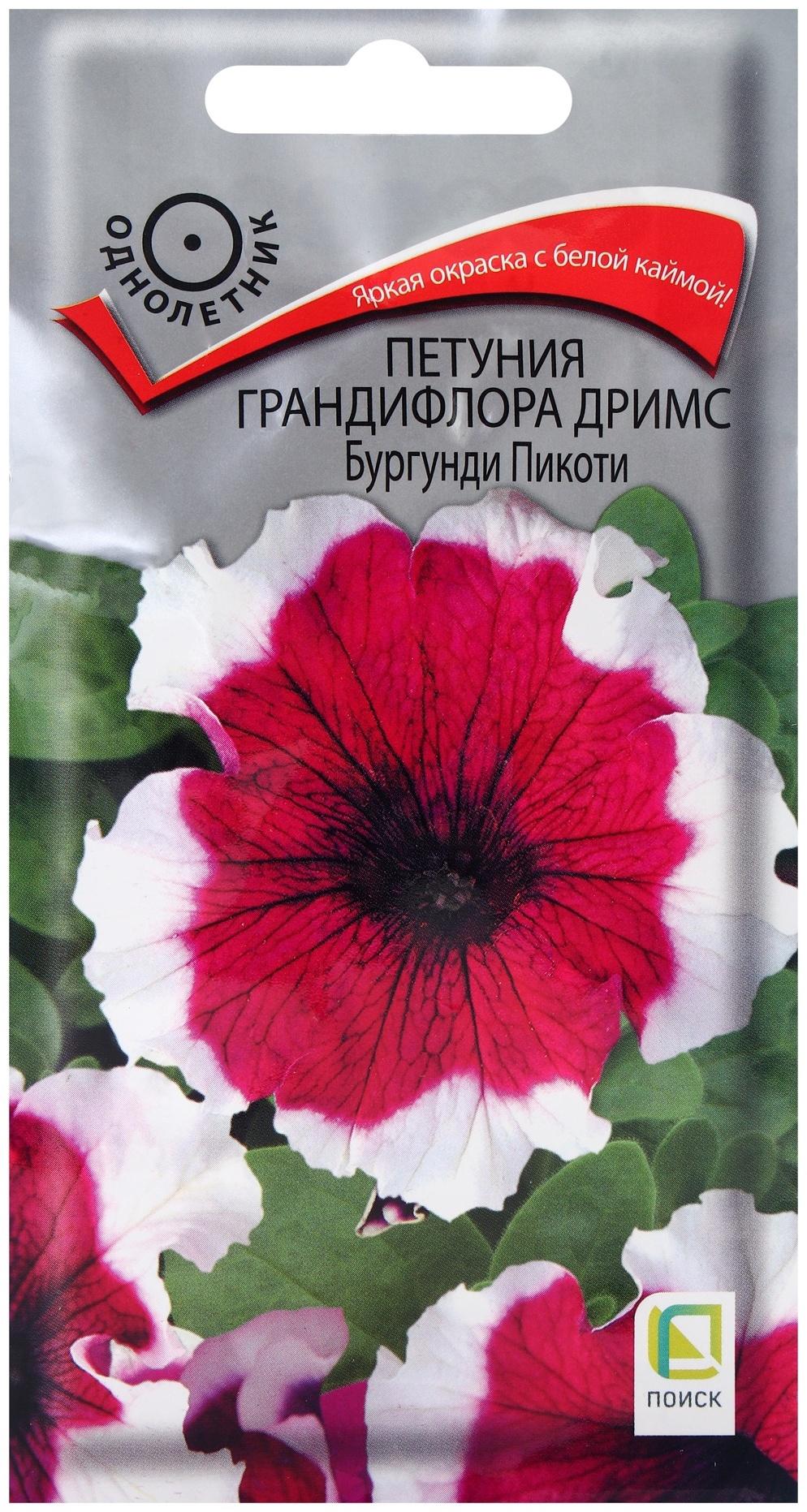 Семена цветов Петуния грандифлора Дримс Бургунди Пикоти, 15шт