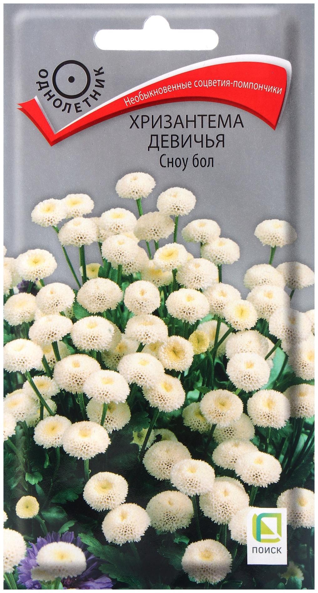 Семена цветов Хризантема девичья Сноу бол, 0,05гр