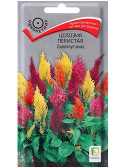 Семена цветов Целозия перистая Лиллипут микс, 0,1гр