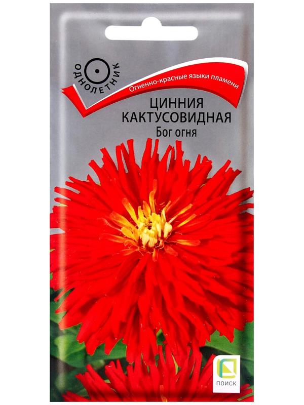 Семена цветов Цинния кактусовидная Бог огня, 0,4гр