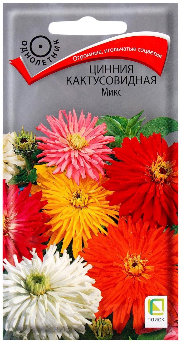 Семена цветов Цинния кактусовидная Микс, 0,4гр