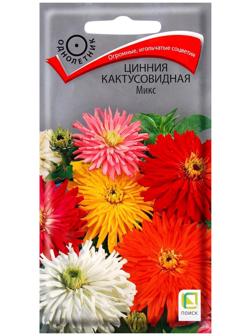 Семена цветов Цинния кактусовидная Микс, 0,4гр