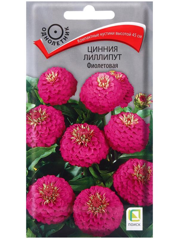 Семена цветов Цинния лиллипут Фиолетовая, 0,4гр