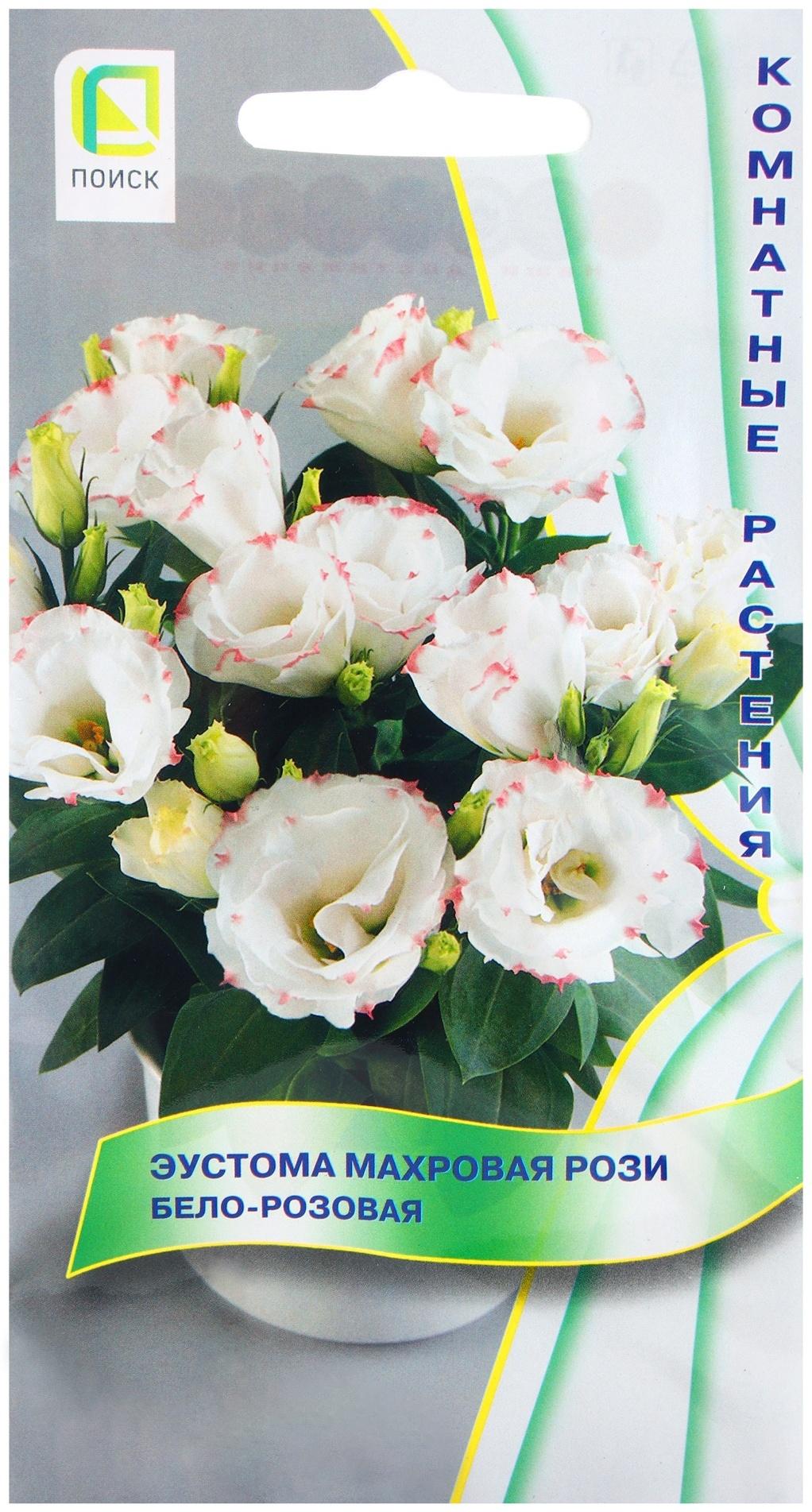 Семена цветов Эустома махровая Рози Бело-розовая, 5шт