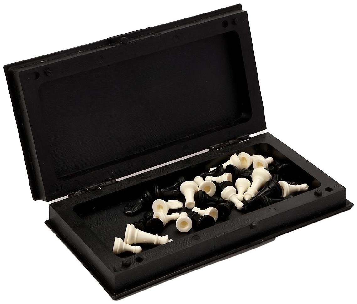 Шахматы 19 х 19 см, король h-3.3 см, d-1.5 см, доска и фигуры пластик