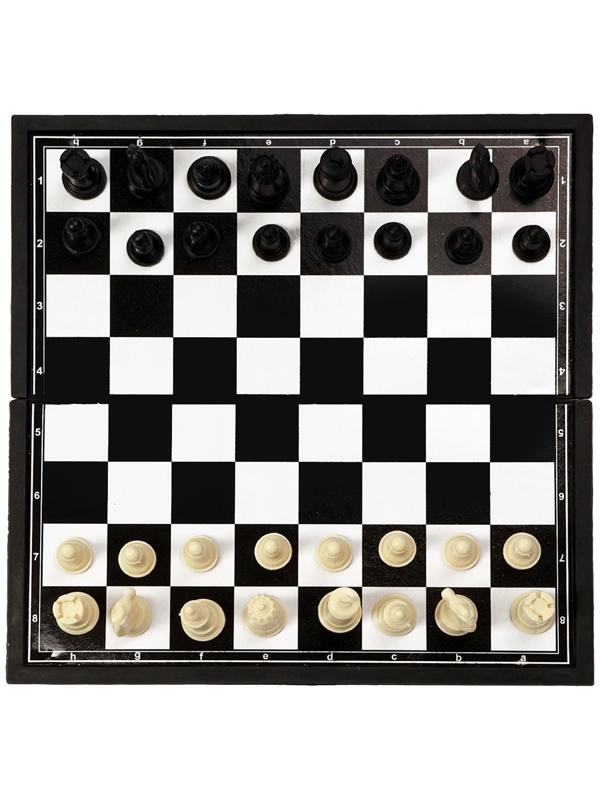 Шахматы 26 х 26 см, король h-4.6 см, d-1.9 см, доска и фигуры пластик