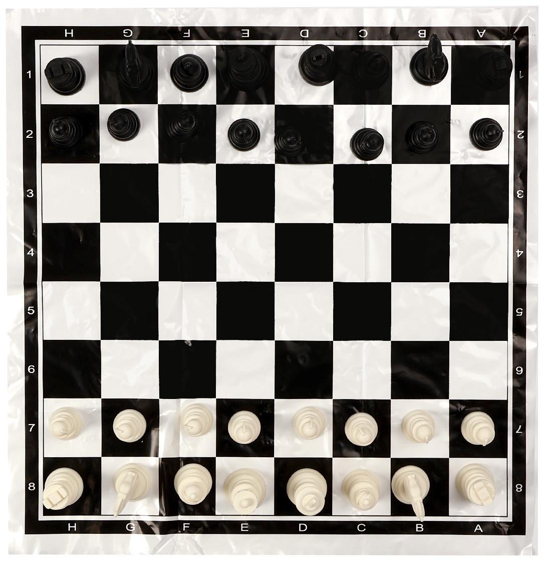 Шахматы 40 х 40 см, король h-5.6 см, d-2.3 см, фигуры пластик