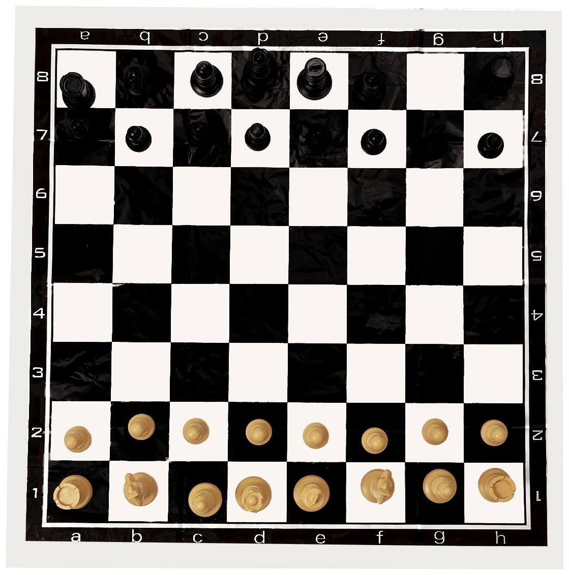 Шахматы 50 х 50 см, король h-7 см, d-3.2 см, фигуры пластик