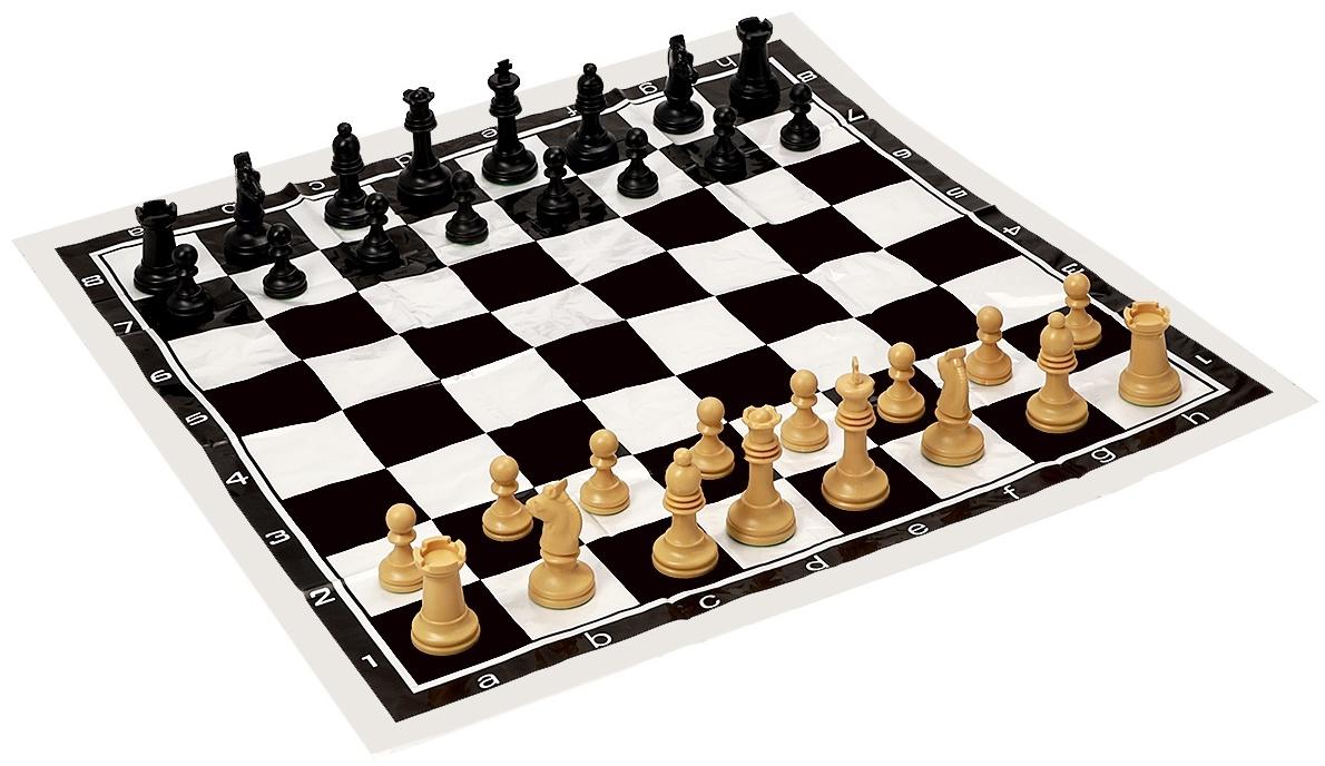 Шахматы 50 х 50 см, король h-7 см, d-3.2 см, фигуры пластик