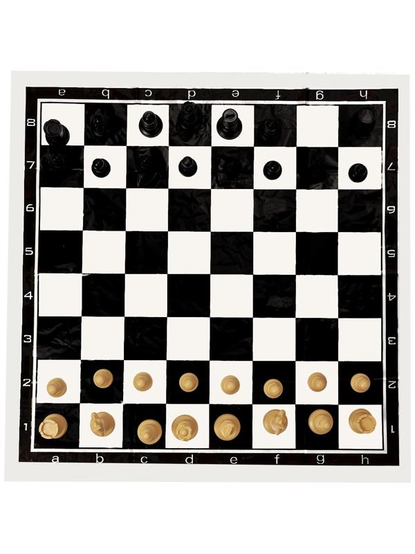 Шахматы 50 х 50 см, король h-7 см, d-3.2 см, фигуры пластик