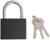 Замок навесной ТУНДРА OneKey001, 63 мм, с одной секретностью, 3 ключа