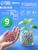 Детский набор для опытов «Эксперименты с гидрогелем», шарики - орбизы, 20 г