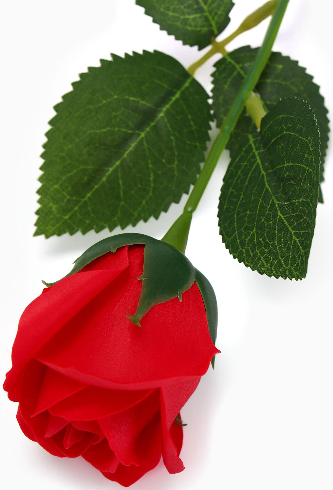 Мыльная роза красная в коробке