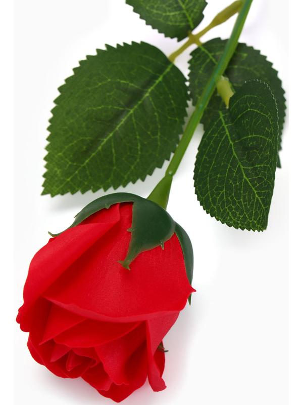 Мыльная роза красная в коробке