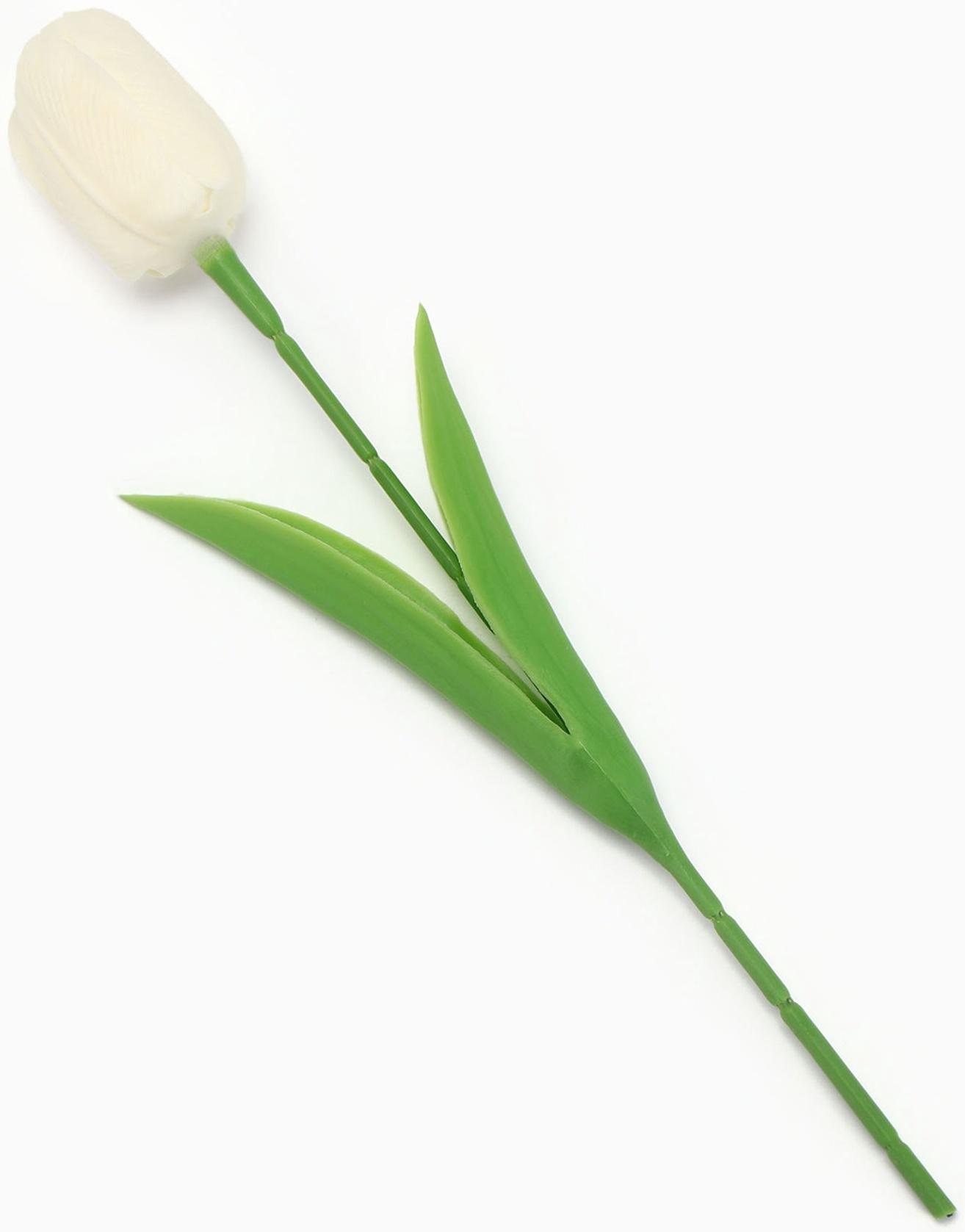 Мыльный белый тюльпан в коробке