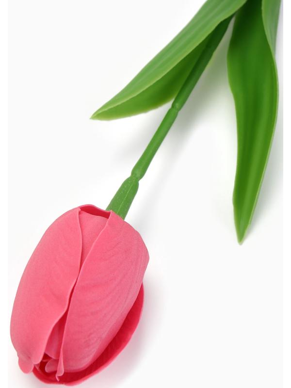 Мыльный розовый тюльпан в коробке